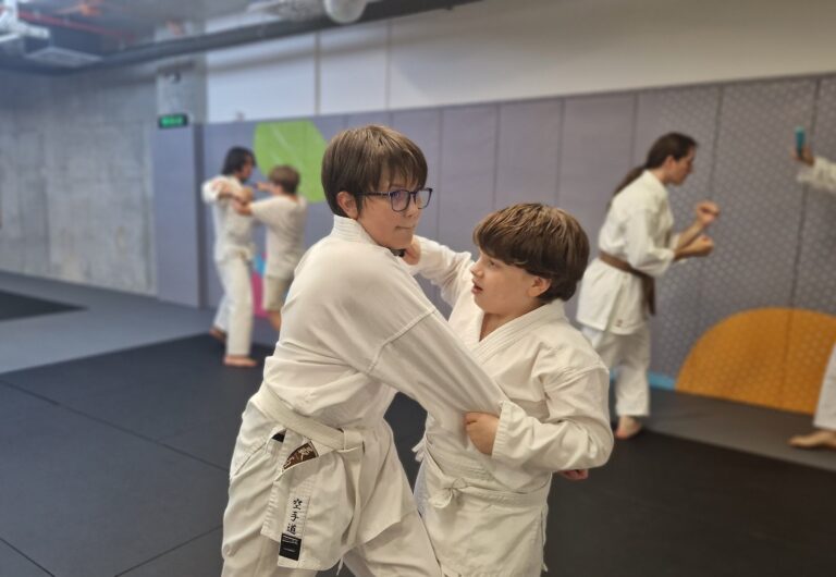 Karate tréning v klube Kitsune Dojo – deti cvičia techniky