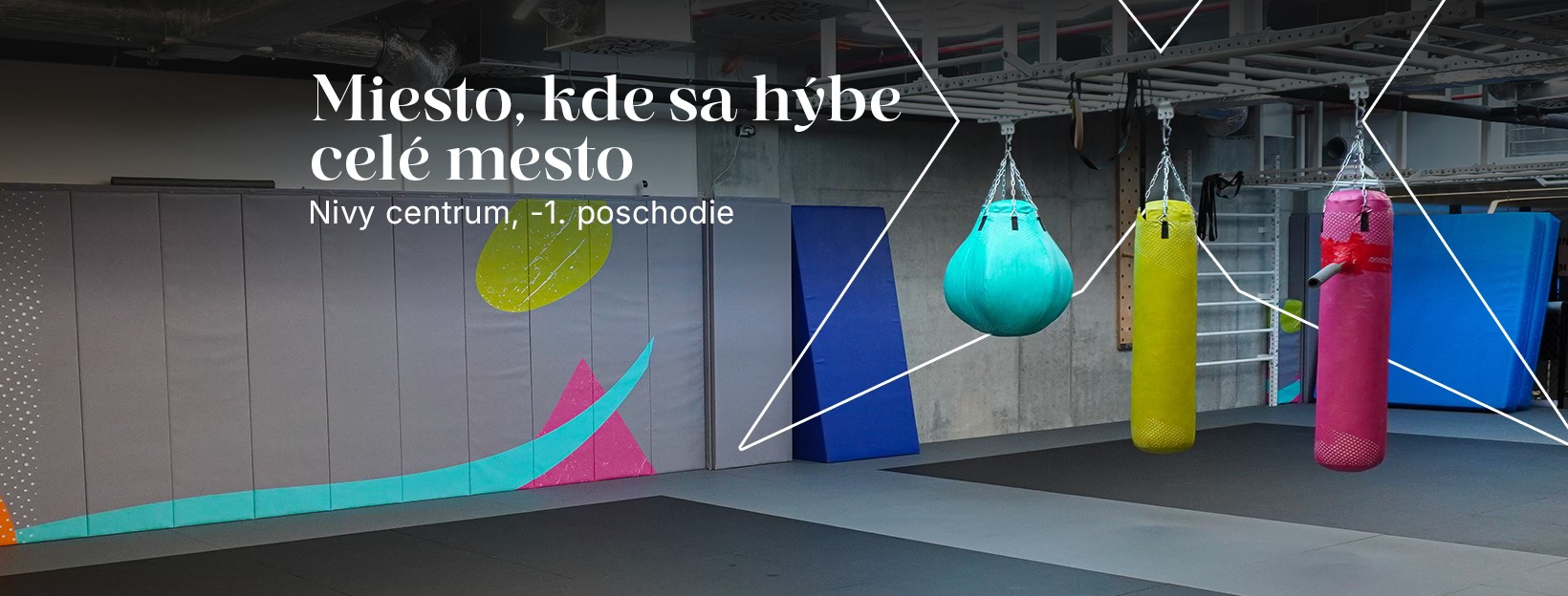 510802217 122151833246464528 5799996870058775524 n